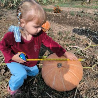 Мой рекордный урожай