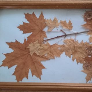 Осенний букет