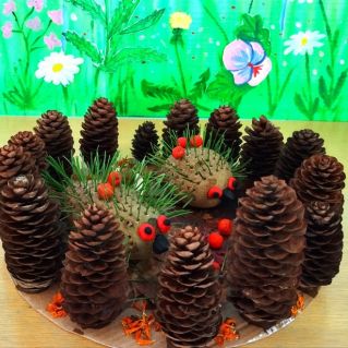 Ежики и елки