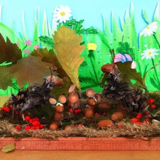 Осень в лесу