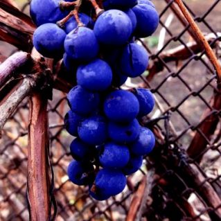 "Осень прекрасна во всем!"