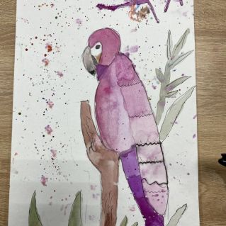 « Попугай Ара!»