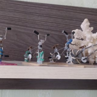 Семейство Великов