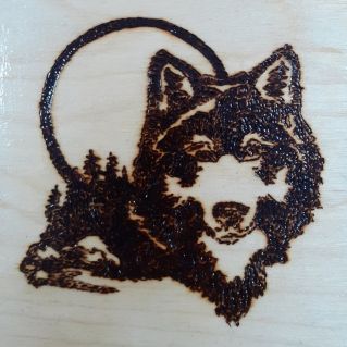 "Одинокий волк"