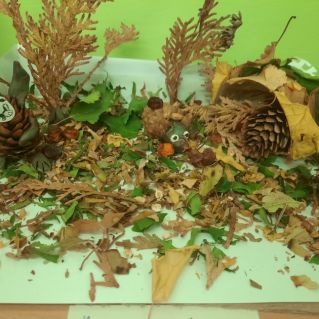 "Осень в лесу"