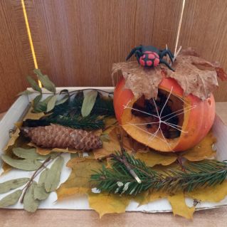 "Домик паука"