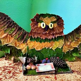 Красота осенних листьев