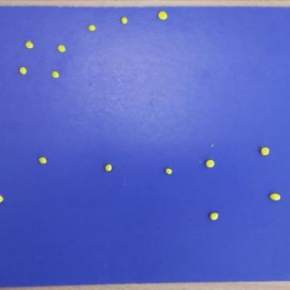 Созвездие Большой Медведицы