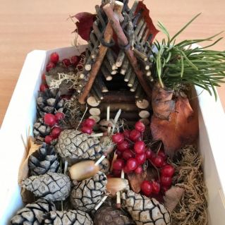 На полянке .