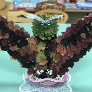 Волшебная сова