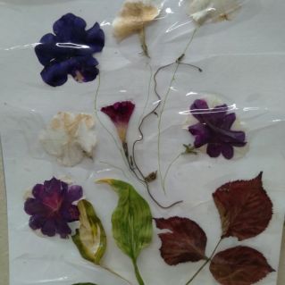 "Осенний букет"