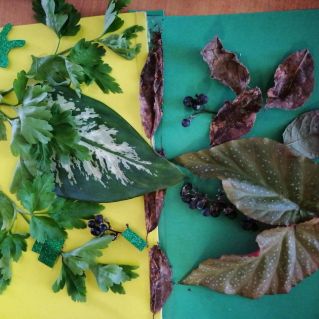 Весна-Осень