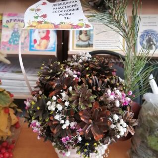 Сосновые розы