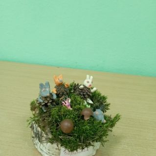 Лесная полянка