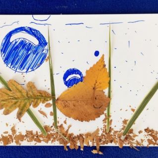 Золотая рыбка