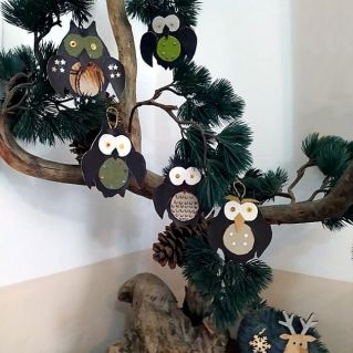 "Совет совушек"