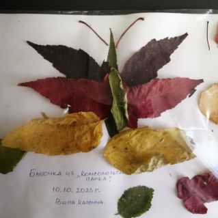 Бабочка из "Комсомольского парка"