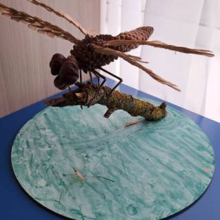 "Стрекоза - огромные глаза"