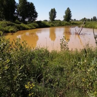 Озеро "Золотуха" Быстроистокский район Алтайский край