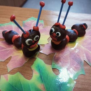 Два неразлучных брата - гусеницы