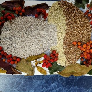 "Осенний грибок"