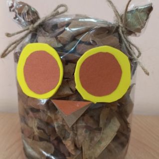 "Тетушка Сова"