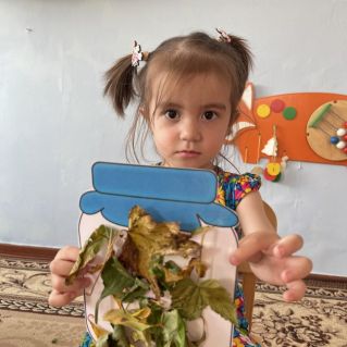 «Наша осень»