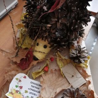 Грибной Улов