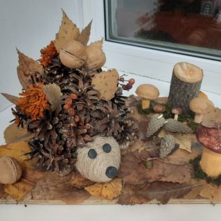 "Чудеса осенней природы"