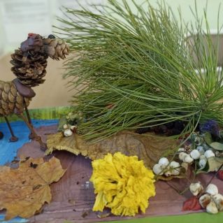 Осень в гости к нам пришла