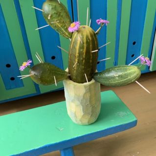 Цветущий кактус