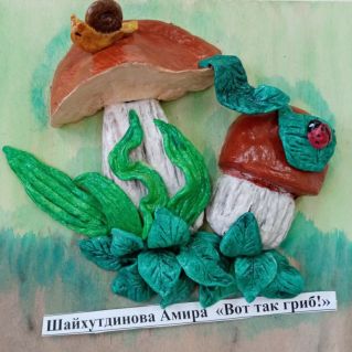 "Вот так гриб!"