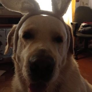 Милая мордашка