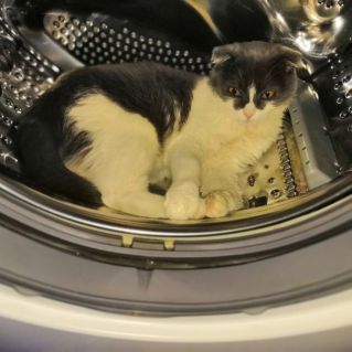 Он сказал "Поехали!"