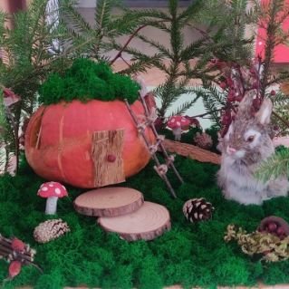 В гостях у кролика