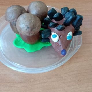 Ёжик на прогулке