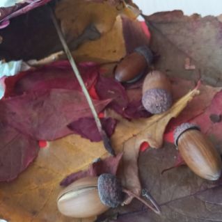 осенний зонт