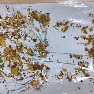 Весенний танец  ветра и берёзки