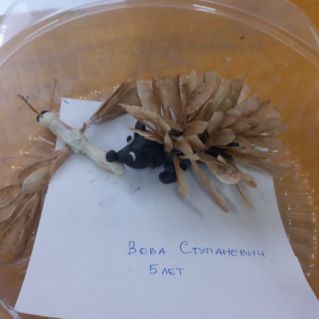 Ёжик и Стрекоза