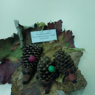 "Колючие ребята"