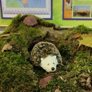 "Гость из леса"