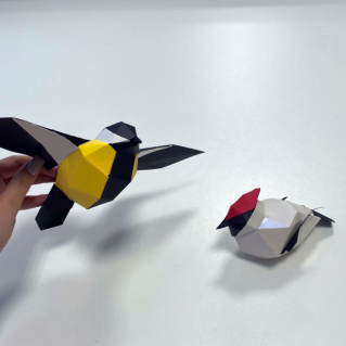 Пернатые друзья. Синичка и зяблик