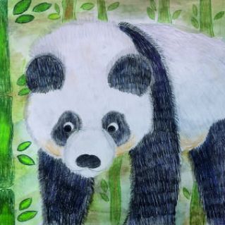 Панда в лесу