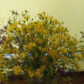 Краски осени