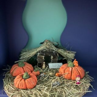 Урожай "Маши и Медведя"