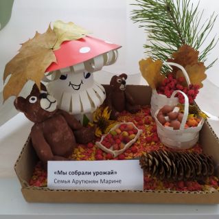 Мы собрали урожай