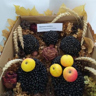 Дружная семейка