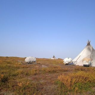 фото "Золотя осень на Ямале