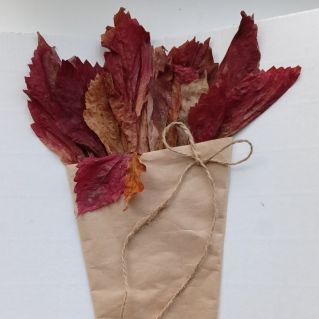 Осеннее поздравление