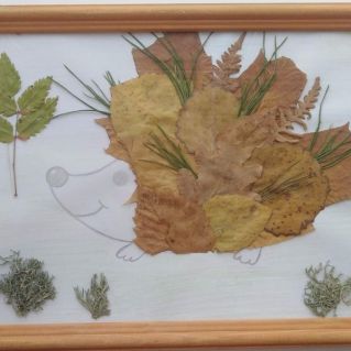 Красивый ежик